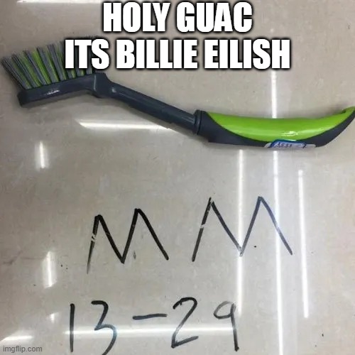 Duh | HOLY GUAC ITS BILLIE EILISH | image tagged in billie eilish | made w/ Imgflip meme maker