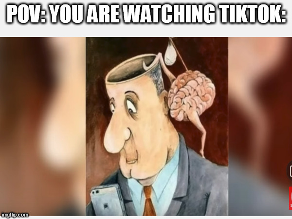 Tictoc is cringe | POV: YOU ARE WATCHING TIKTOK: | image tagged in tiktok sucks,just because,it is cringe | made w/ Imgflip meme maker