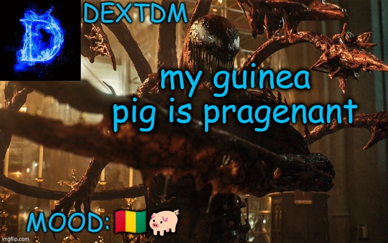 If you add a mod note, ur gay |  my guinea pig is pragenant; 🇬🇳🐖 | image tagged in pig,pigs,guinea pig,pregnant,baby,cute | made w/ Imgflip meme maker