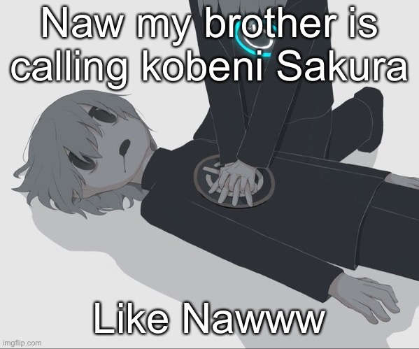 Avogado6 depression | Naw my brother is calling kobeni Sakura; Like Nawww | image tagged in avogado6 depression | made w/ Imgflip meme maker
