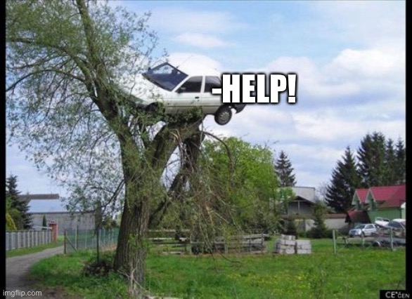 Secure Parking | -HELP! | image tagged in memes,secure parking,car,tree | made w/ Imgflip meme maker