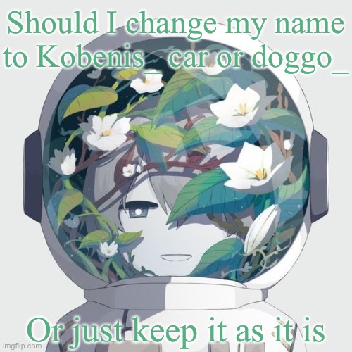 avogado6 | Should I change my name to Kobenis_ car or doggo_; Or just keep it as it is | image tagged in avogado6 | made w/ Imgflip meme maker