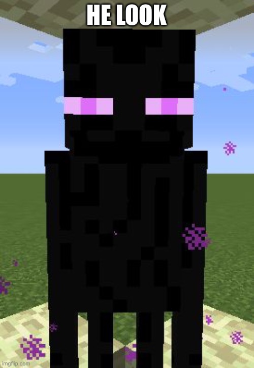 Enderman | HE LOOK | image tagged in enderman,look | made w/ Imgflip meme maker