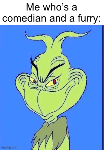 Good Grinch | Me who’s a comedian and a furry: | image tagged in good grinch | made w/ Imgflip meme maker