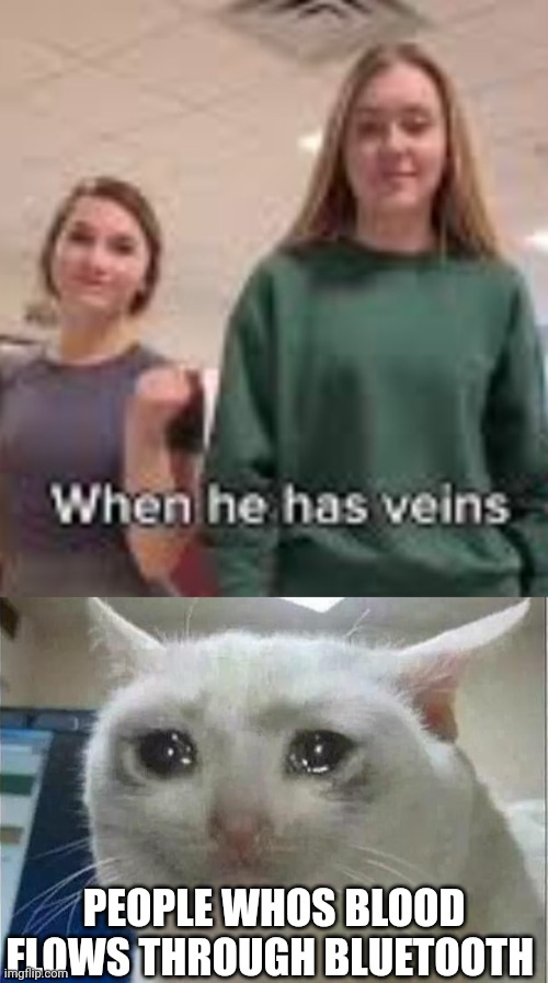 PEOPLE WHOS BLOOD FLOWS THROUGH BLUETOOTH | image tagged in crying cat | made w/ Imgflip meme maker