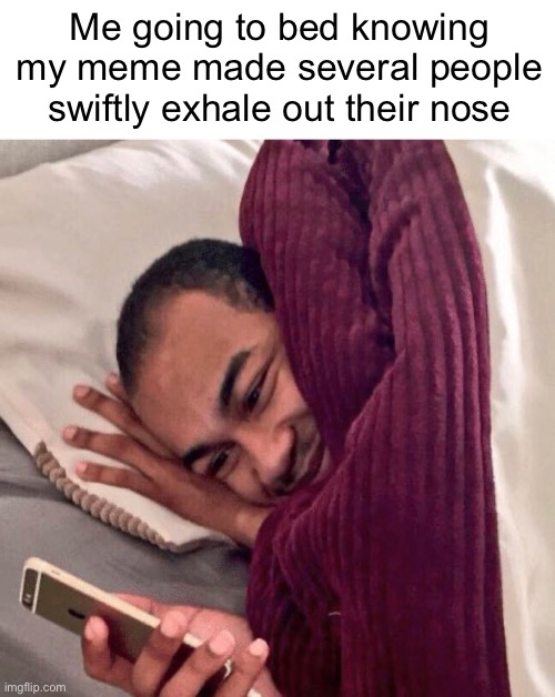 Happy in bed | Me going to bed knowing my meme made several people swiftly exhale out their nose | image tagged in happy in bed | made w/ Imgflip meme maker