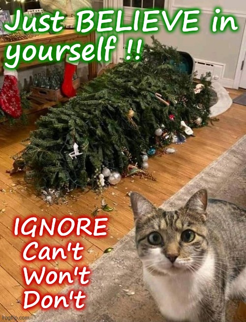 A Christmas Miracle! | Just BELIEVE in
yourself !! IGNORE
 Can't
 Won't
 Don't | image tagged in christmas tree,cats,rick75230 | made w/ Imgflip meme maker