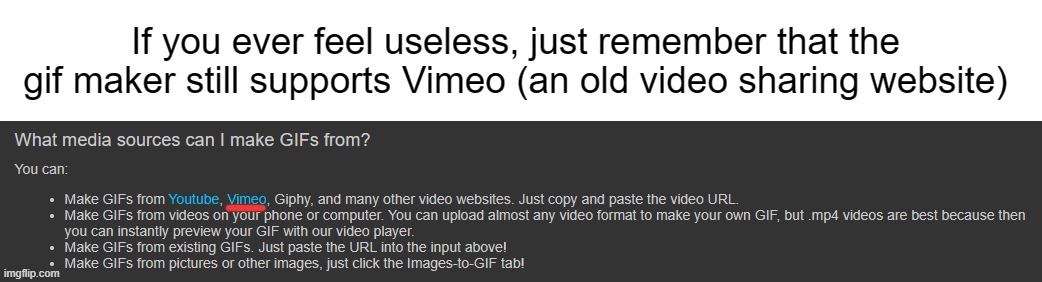 Not really a suggestion, but something interesting I noticed. | If you ever feel useless, just remember that the gif maker still supports Vimeo (an old video sharing website) | made w/ Imgflip meme maker