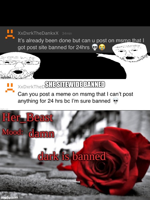 told my friends i got sitebanned | made w/ Imgflip meme maker