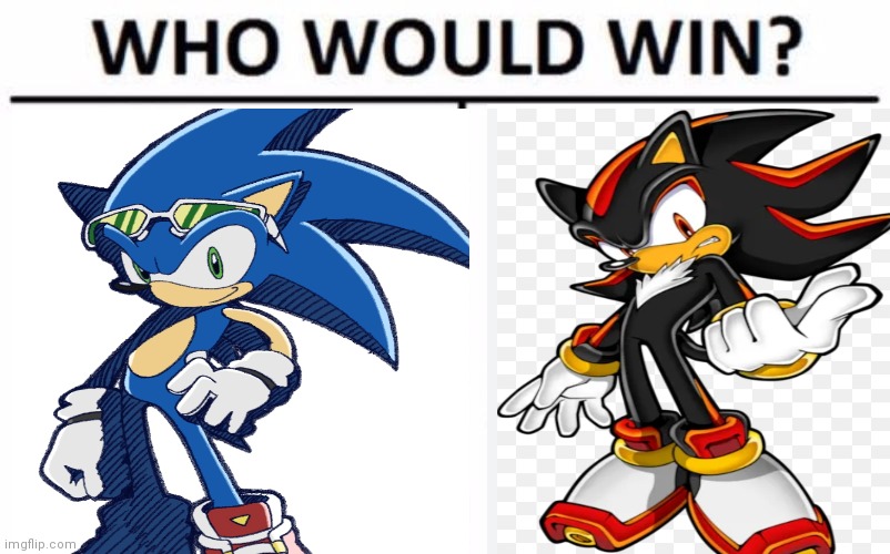 Who would win plus who is better Sonic vs shadow | image tagged in funny memes | made w/ Imgflip meme maker