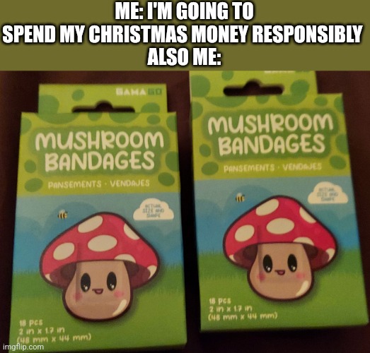 They were 8$ each | ME: I'M GOING TO SPEND MY CHRISTMAS MONEY RESPONSIBLY 
ALSO ME: | image tagged in mushrooms | made w/ Imgflip meme maker