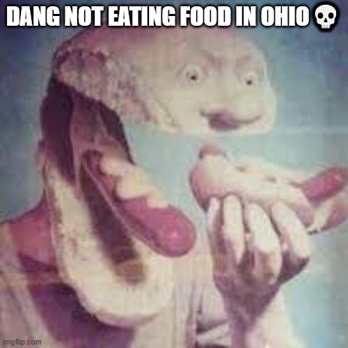 food in ohio | DANG NOT EATING FOOD IN OHIO💀 | image tagged in ohio | made w/ Imgflip meme maker