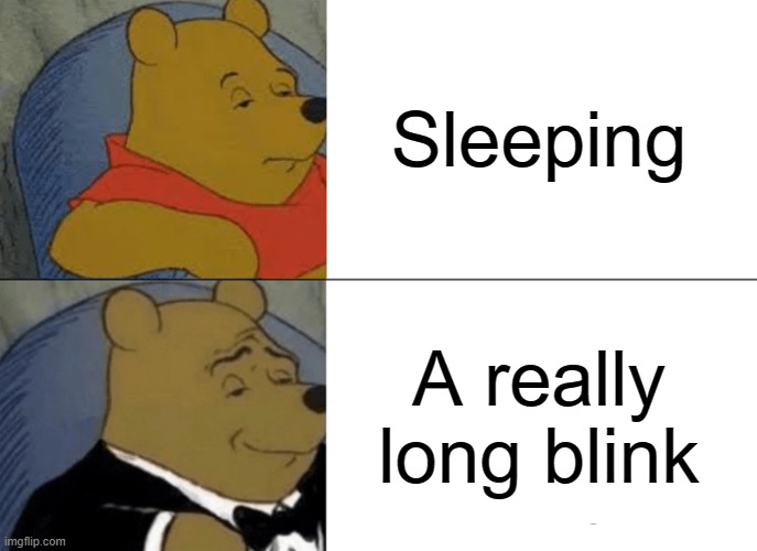 Tuxedo Winnie The Pooh Meme | Sleeping A really long blink | image tagged in memes,tuxedo winnie the pooh | made w/ Imgflip meme maker