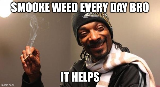 Snoop Dogg | SMOOKE WEED EVERY DAY BRO IT HELPS | image tagged in snoop dogg | made w/ Imgflip meme maker