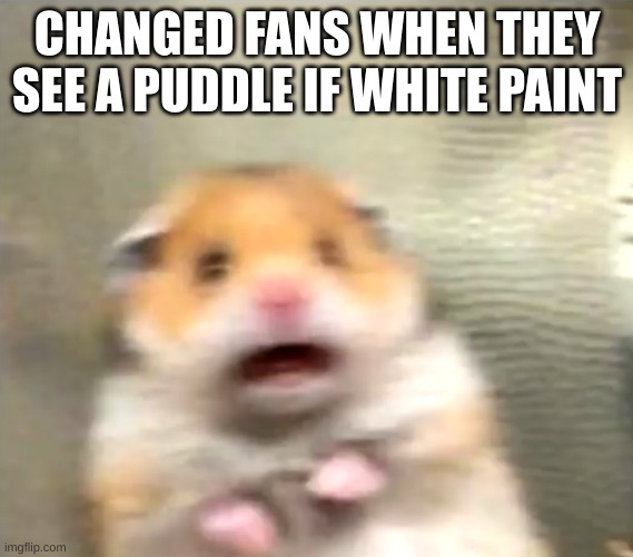 funi shitposting action | CHANGED FANS WHEN THEY SEE A PUDDLE IF WHITE PAINT | image tagged in scared hamster,memes,changed | made w/ Imgflip meme maker
