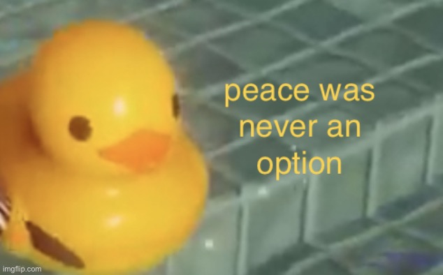 peace was never an option | image tagged in peace was never an option | made w/ Imgflip meme maker