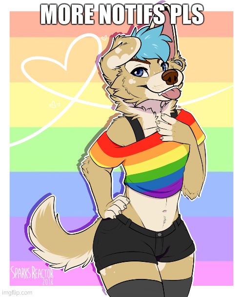 Everyone ignore this ugly shit - pochiter | MORE NOTIFS PLS | image tagged in femboy furry | made w/ Imgflip meme maker