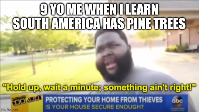 Hold up wait a minute something aint right | 9 YO ME WHEN I LEARN SOUTH AMERICA HAS PINE TREES | image tagged in hold up wait a minute something aint right | made w/ Imgflip meme maker