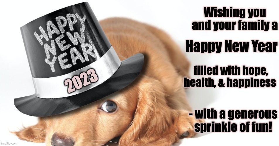 Happy New Year 2023 | Wishing you and your family a; Happy New Year; filled with hope, health, & happiness; 2023; - with a generous sprinkle of fun! | image tagged in happy new year,hope,happiness,health,fun | made w/ Imgflip meme maker