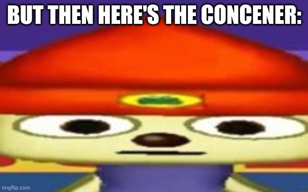 Unsettled Parappa | BUT THEN HERE'S THE CONCENER: | image tagged in unsettled parappa | made w/ Imgflip meme maker