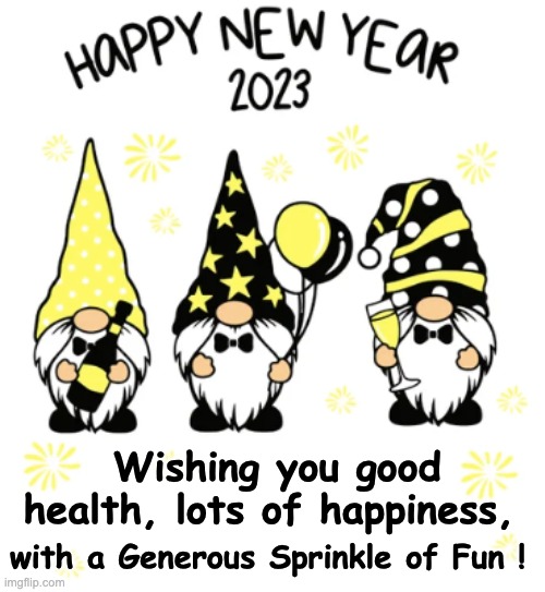 Happy New Year 2023 | Wishing you good health, lots of happiness, with a Generous Sprinkle of Fun ! | image tagged in health,happiness,fun,happy new year | made w/ Imgflip meme maker