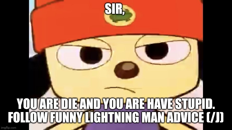 parappa | SIR, YOU ARE DIE AND YOU ARE HAVE STUPID. FOLLOW FUNNY LIGHTNING MAN ADVICE (/J) | image tagged in parappa | made w/ Imgflip meme maker