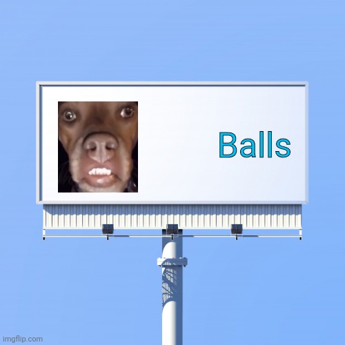 Blank billboard for us | Balls | image tagged in blank billboard for us | made w/ Imgflip meme maker