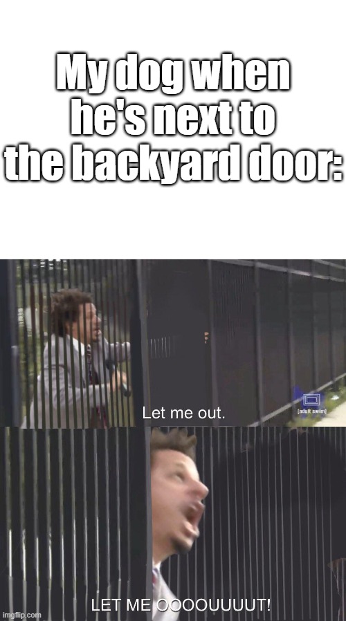 JUST LET ME OUUUUUUUUUUUUUT! | My dog when he's next to the backyard door: | image tagged in let me out | made w/ Imgflip meme maker