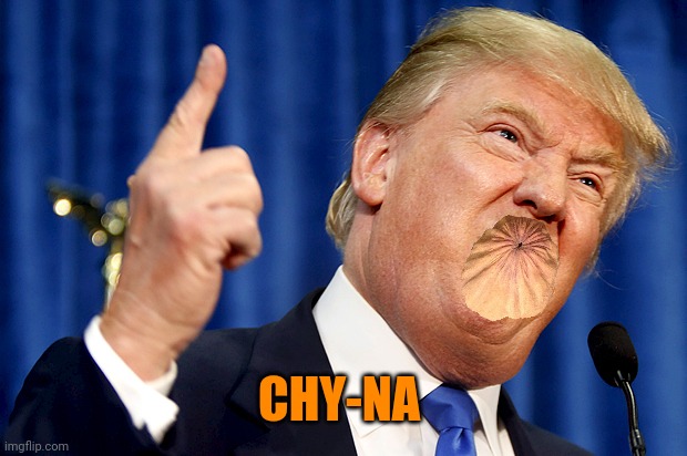 Donald Trump | CHY-NA | image tagged in donald trump | made w/ Imgflip meme maker