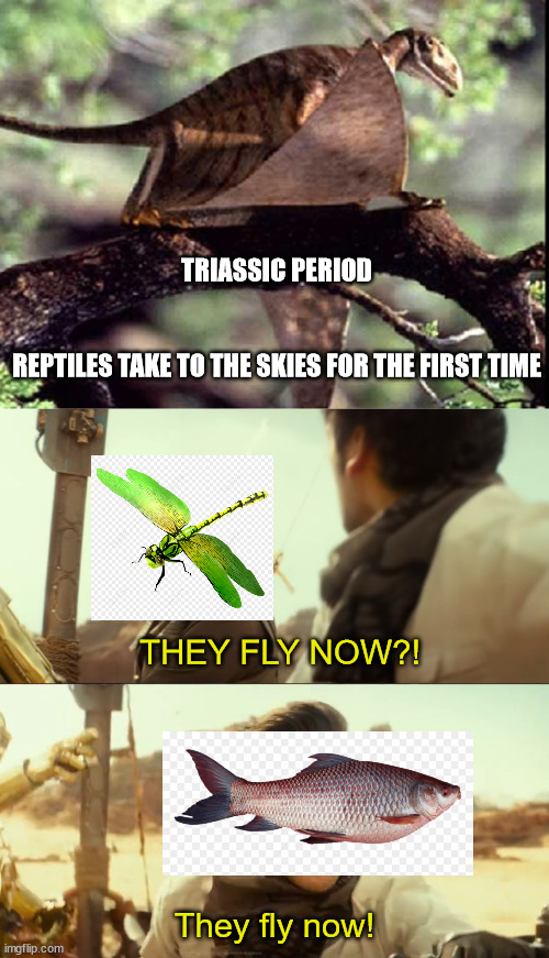 TRIASSIC PERIOD
 
  
REPTILES TAKE TO THE SKIES FOR THE FIRST TIME; THEY FLY NOW?! They fly now! | image tagged in they fly now | made w/ Imgflip meme maker