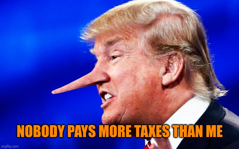 lying trump | NOBODY PAYS MORE TAXES THAN ME | image tagged in lying trump | made w/ Imgflip meme maker