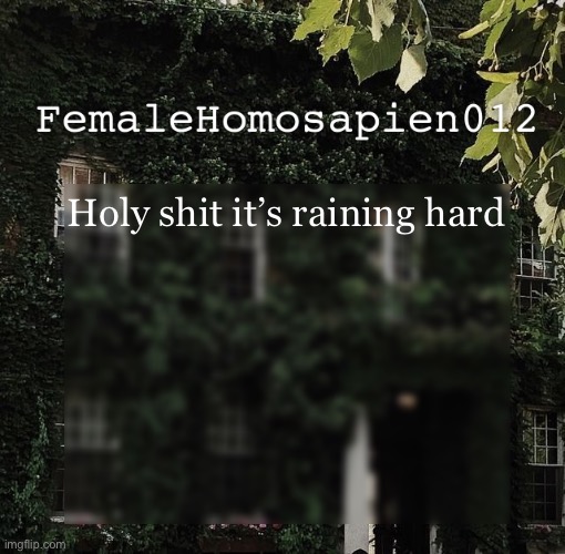 FemaleHomosapien012 | Holy shit it’s raining hard | image tagged in femalehomosapien012 | made w/ Imgflip meme maker