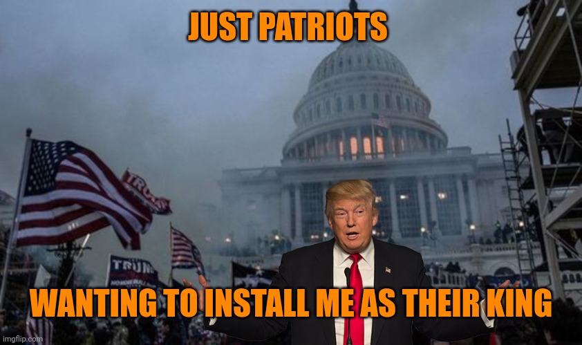 misconstrued coup | JUST PATRIOTS WANTING TO INSTALL ME AS THEIR KING | image tagged in misconstrued coup | made w/ Imgflip meme maker