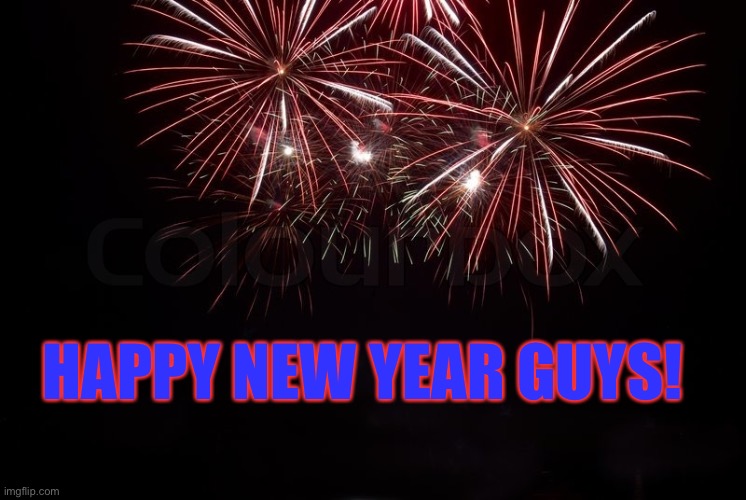 Happy new year guys! | HAPPY NEW YEAR GUYS! | image tagged in happy new year | made w/ Imgflip meme maker