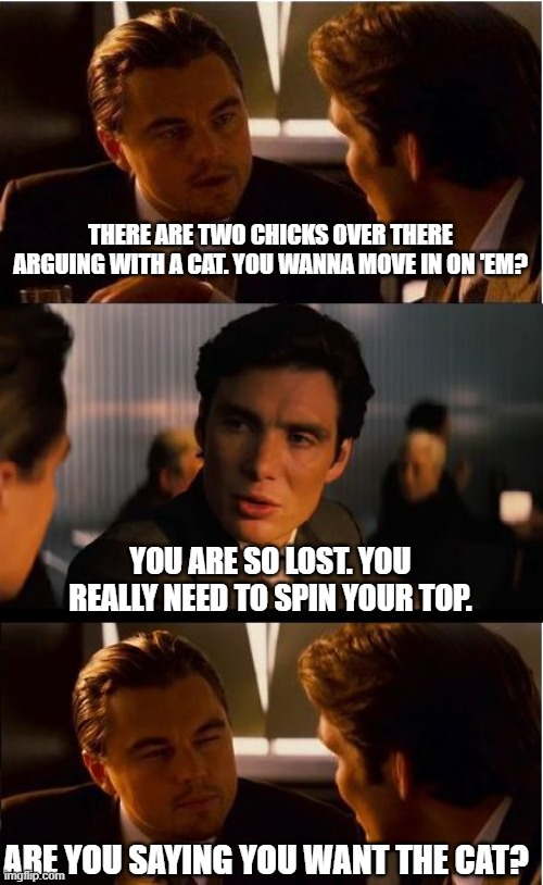 Inception | THERE ARE TWO CHICKS OVER THERE ARGUING WITH A CAT. YOU WANNA MOVE IN ON 'EM? YOU ARE SO LOST. YOU REALLY NEED TO SPIN YOUR TOP. ARE YOU SAYING YOU WANT THE CAT? | image tagged in memes,inception | made w/ Imgflip meme maker