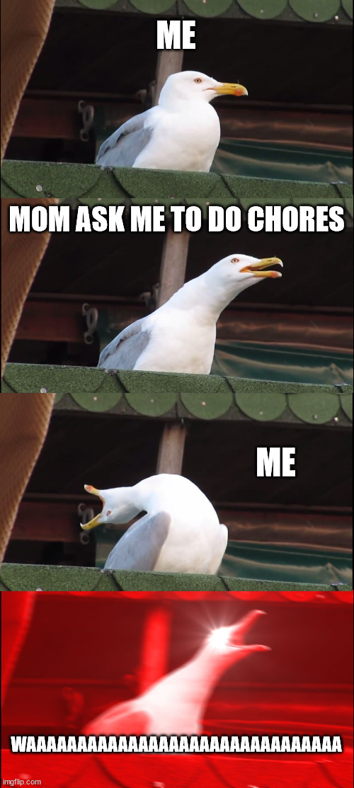 mom why | ME; MOM ASK ME TO DO CHORES; ME; WAAAAAAAAAAAAAAAAAAAAAAAAAAAAAAA | image tagged in memes,inhaling seagull | made w/ Imgflip meme maker