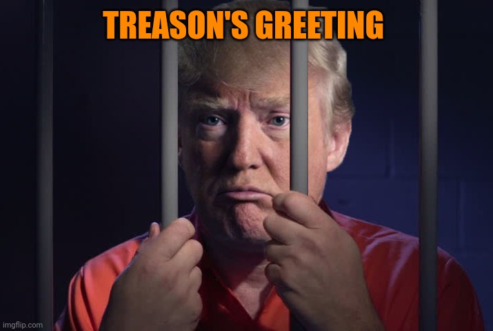 Trump Behind Bars | TREASON'S GREETING | image tagged in trump behind bars | made w/ Imgflip meme maker