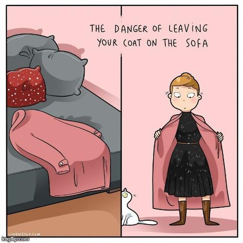 A Cat Lady's Way Of Thinking | image tagged in memes,comics,cat lady,jacket,cats,hair | made w/ Imgflip meme maker
