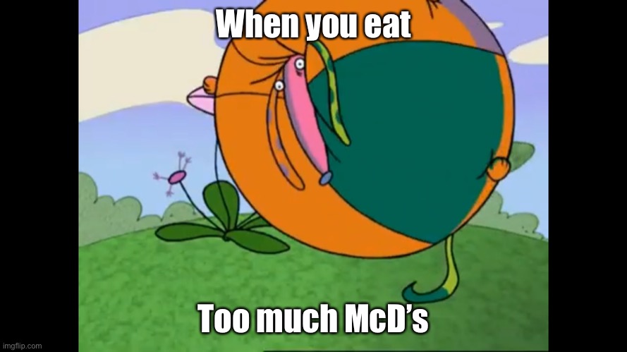 It’s true | When you eat; Too much McD’s | image tagged in plush chungus from a little curious | made w/ Imgflip meme maker