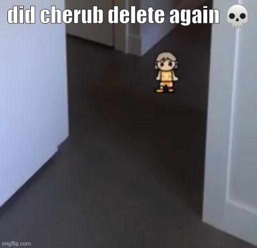 kel | did cherub delete again 💀 | image tagged in kel | made w/ Imgflip meme maker