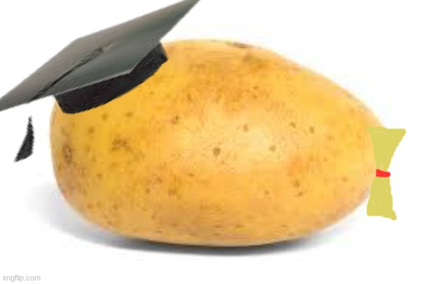 Potato | image tagged in potato | made w/ Imgflip meme maker