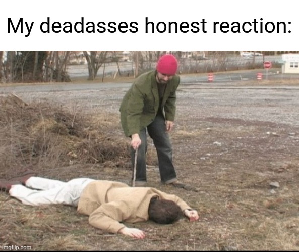 you dead ? | My deadasses honest reaction: | image tagged in you dead | made w/ Imgflip meme maker