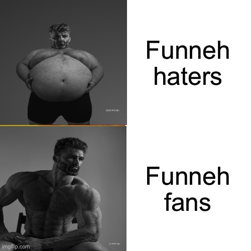 Agree | Funneh haters; Funneh fans | image tagged in memes,drake hotline bling | made w/ Imgflip meme maker