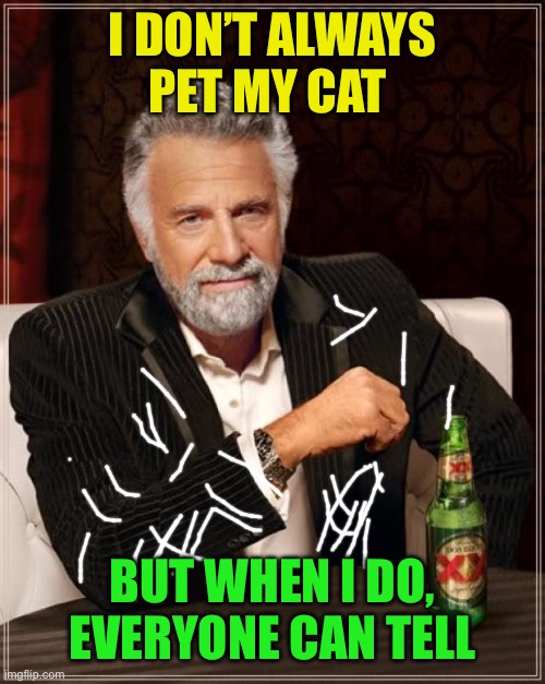 The Most Interesting Man In The World Meme | I DON’T ALWAYS PET MY CAT BUT WHEN I DO,
EVERYONE CAN TELL | image tagged in memes,the most interesting man in the world | made w/ Imgflip meme maker