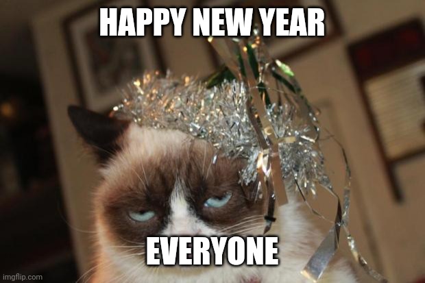Grumpy Cat New Years | HAPPY NEW YEAR; EVERYONE | image tagged in grumpy cat new years | made w/ Imgflip meme maker