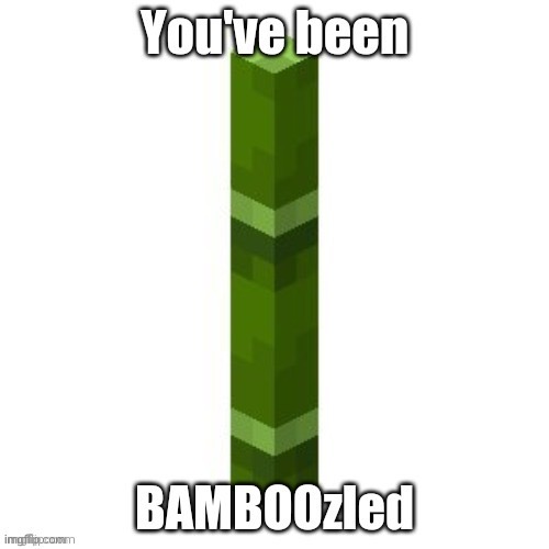 You've been BAMBOOzled | image tagged in you've been bamboozled | made w/ Imgflip meme maker