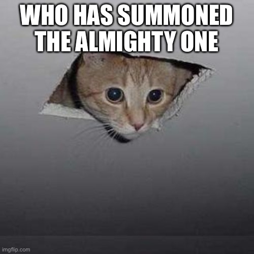 Ceiling Cat | WHO HAS SUMMONED THE ALMIGHTY ONE | image tagged in memes,ceiling cat,cats | made w/ Imgflip meme maker