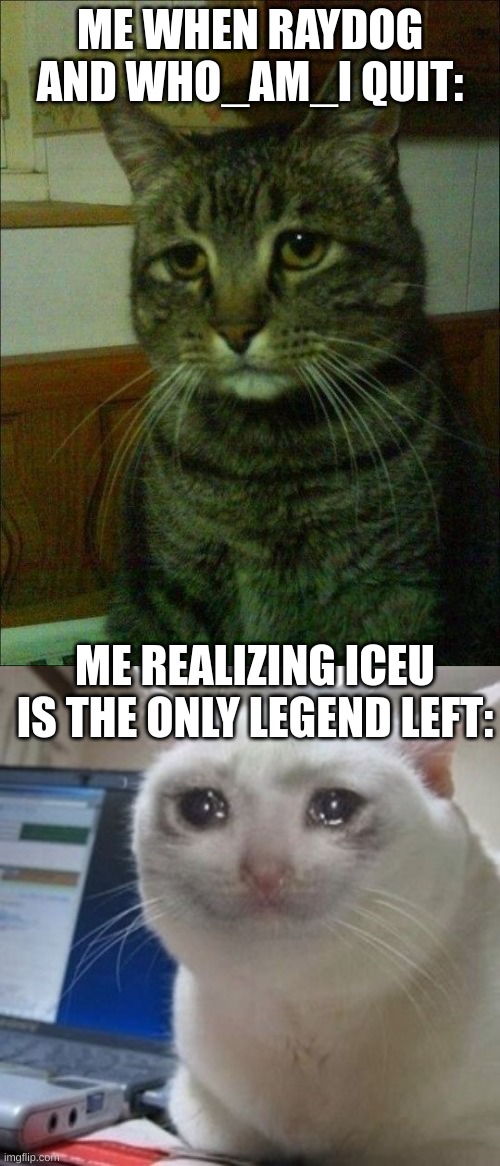 legends...always...fall. | ME WHEN RAYDOG AND WHO_AM_I QUIT:; ME REALIZING ICEU IS THE ONLY LEGEND LEFT: | image tagged in memes,depressed cat,crying cat,fun,imgflip,imgflip users | made w/ Imgflip meme maker