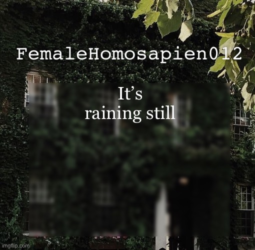 FemaleHomosapien012 | It’s raining still | image tagged in femalehomosapien012 | made w/ Imgflip meme maker