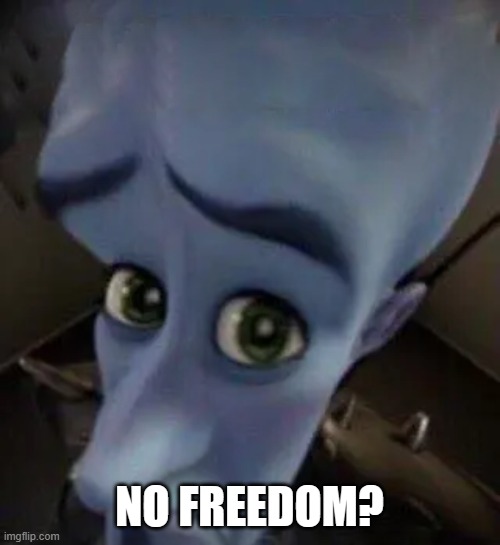 megamind no b | NO FREEDOM? | image tagged in megamind no b | made w/ Imgflip meme maker